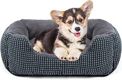 Cómo saber cuándo es hora de reemplazar la cama de tu perro pequeño