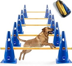 ¿Existen sets de agility portátiles para perros?