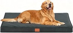 Tipos de camas para perros grandes: descubre lo que necesitas