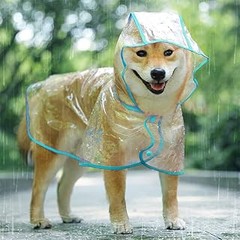 Descubre los diferentes tipos de capas y ponchos para perros