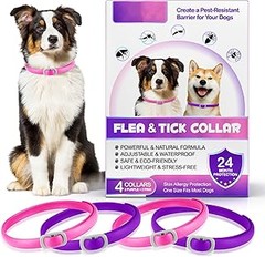 Descubre los diferentes tipos de collares antiparasitarios para perros