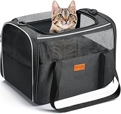 Descubre los diferentes tipos de mochilas transportín para gatos
