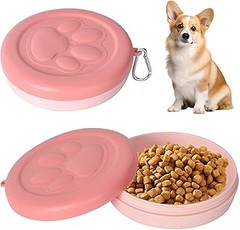 Descubre las ventajas de usar un bebedero portátil para perros al viajar