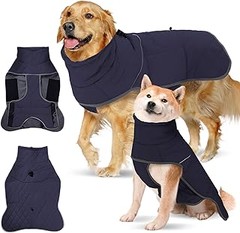 Descubre los beneficios de los abrigos de invierno para perros medianos y grandes