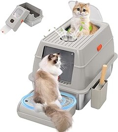 Pros y contras de usar areneros grandes para varios gatos