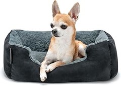 Pros y contras de diferentes tipos de camas para cachorros