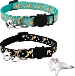 Pros y contras de los collares de seguridad para gatos