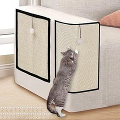 ¿Son adecuados los rascadores de esquina para tu gato?