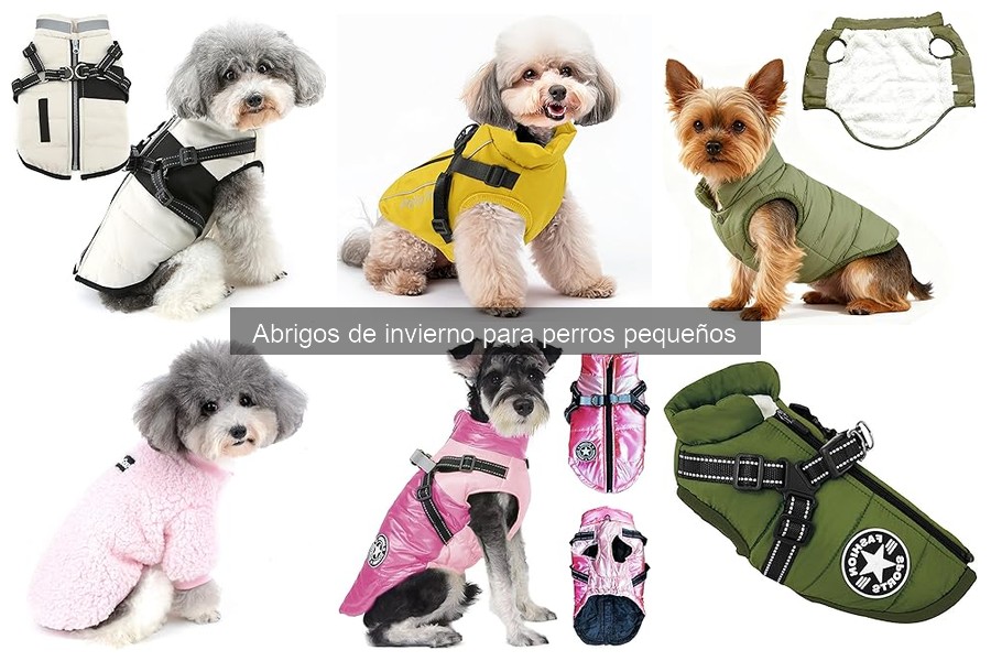 Abrigos de invierno para perros pequeños con movilidad reducida