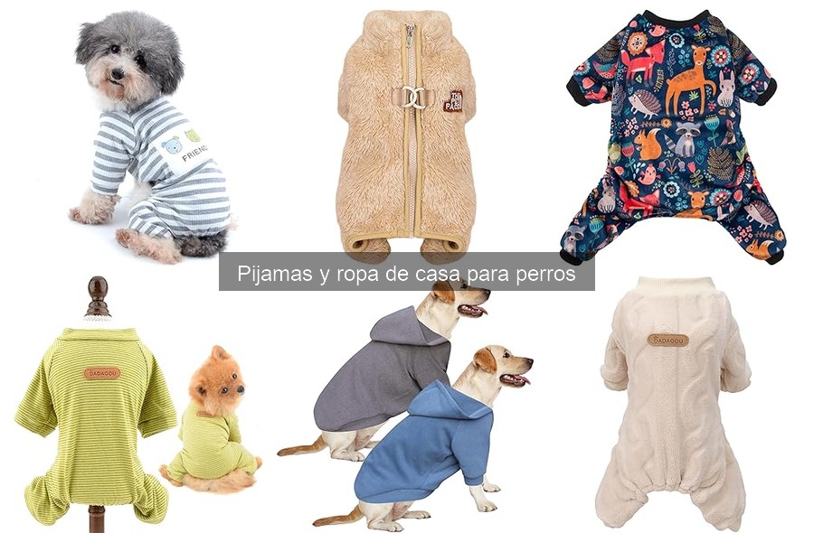 Accesorios ideales para complementar pijamas de perros