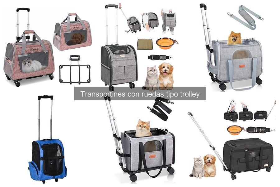 Accesorios imprescindibles para transportines con ruedas