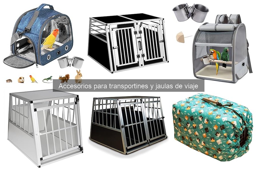 Accesorios más seguros para viajar en coche con mascotas