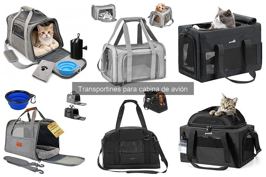 Accesorios para transportines de avión: mejora el viaje con tu mascota
