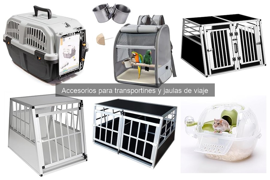 Accesorios para transportines según el tamaño de tu mascota