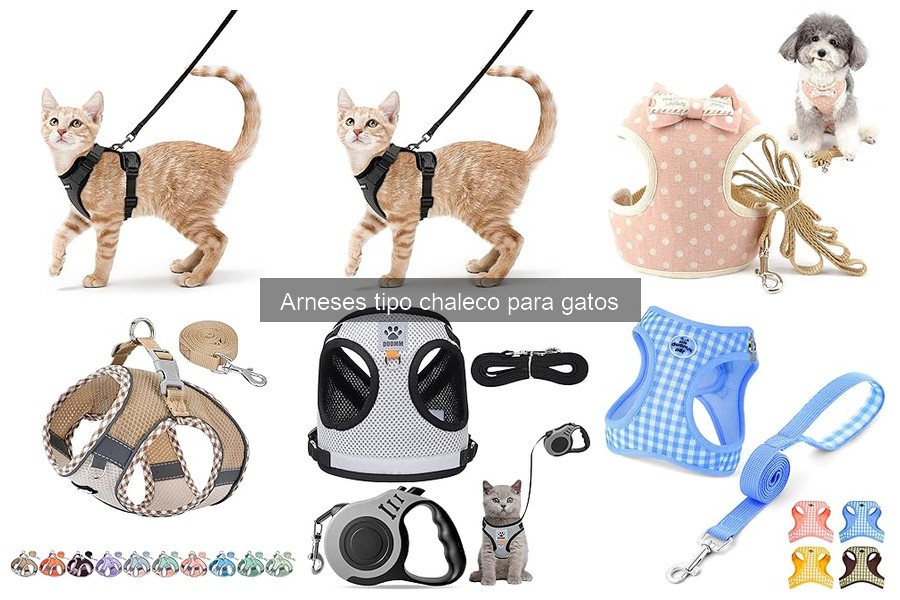 Acostumbrar a tu gato al arnés tipo chaleco: ¡Consejos prácticos!