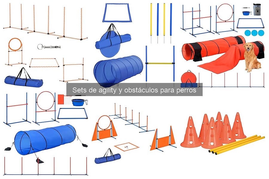 Actividades Alternativas al Agility para Perros: Opciones Únicas