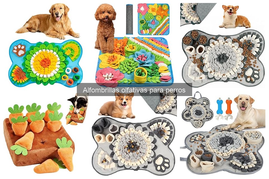 Alfombrillas olfativas para perros: ¿son seguras?