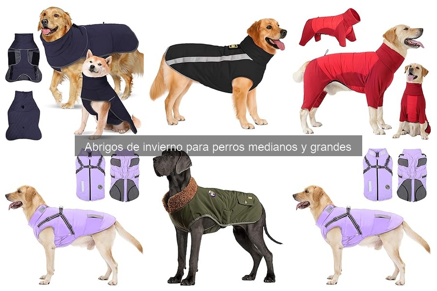 Alternativas a Abrigos de Invierno para Perros Medianos y Grandes