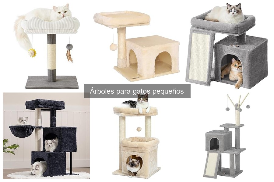 Alternativas a Árboles para Gatos Pequeños: Soluciones Creativas