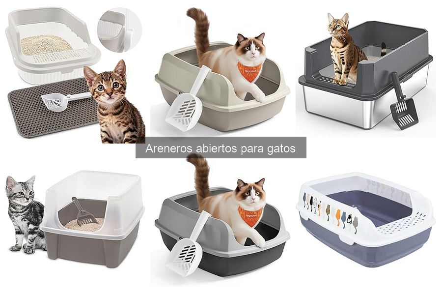 Alternativas a areneros abiertos para gatos: Mejoras y opciones