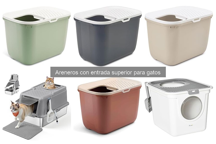 Alternativas a Areneros con Entrada Superior para Gatos