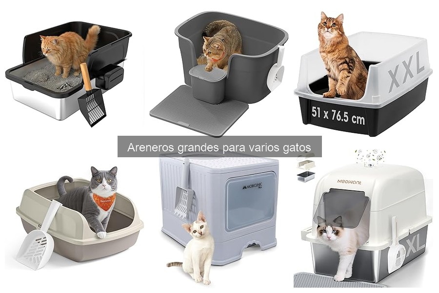 Alternativas a areneros grandes para gatos en casa