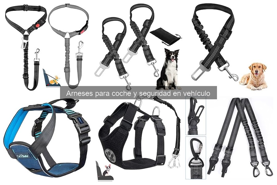 Alternativas a arneses de coche para perros: ¡Descúbrelas!