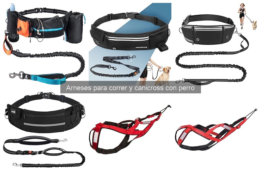 Alternativas a arneses para canicross: opciones para correr