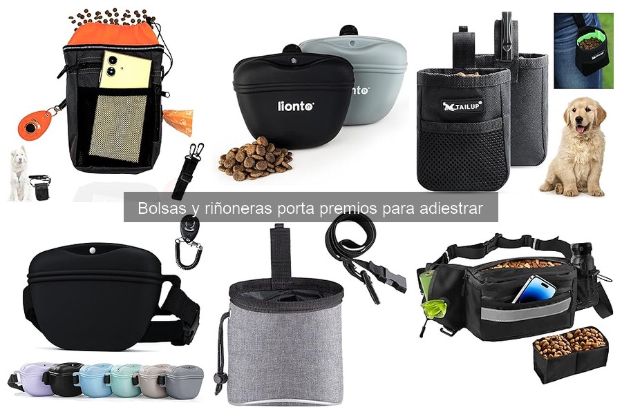 Alternativas a bolsas porta premios para gatos: ¡descúbrelas!