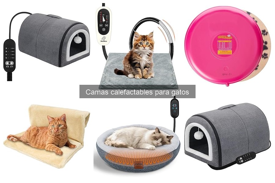Alternativas a camas calefactables para gatos: ¡descubre opciones!