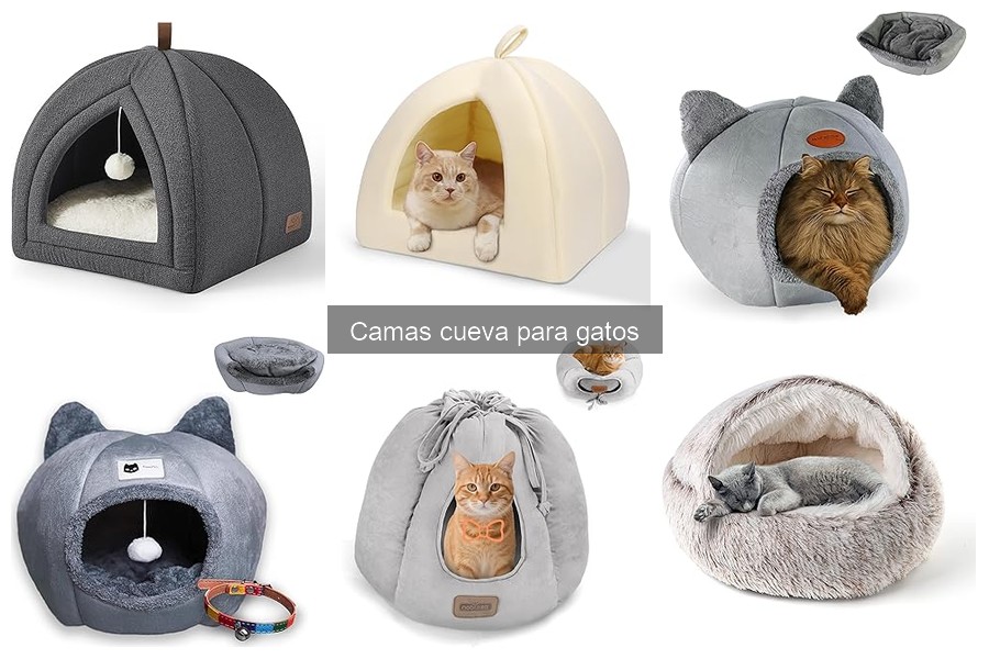 Alternativas a Camas Cueva para Gatos con Necesidades Especiales