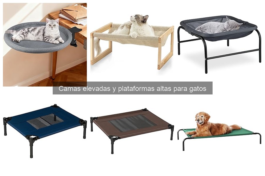 Alternativas a camas elevadas para gatos: opciones prácticas