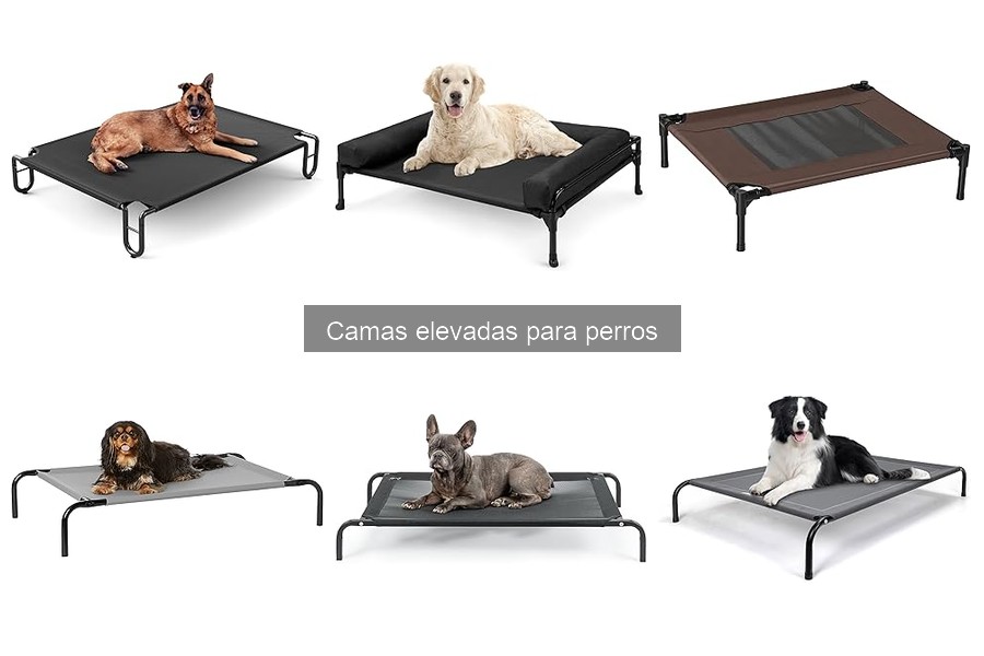 Alternativas a camas elevadas para perros: opciones prácticas