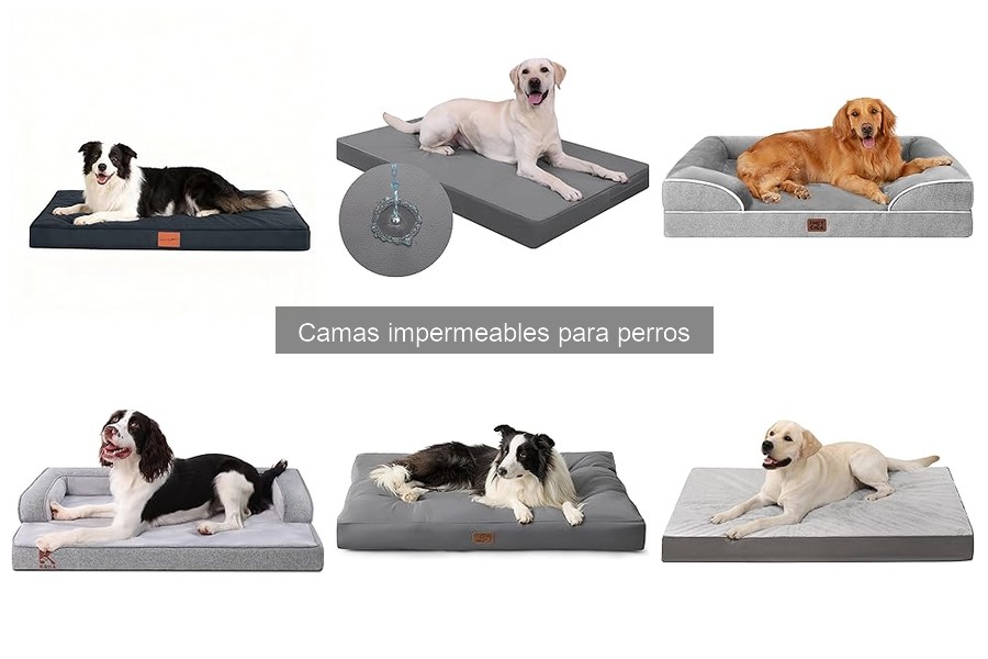 Alternativas a camas impermeables para perros: soluciones prácticas