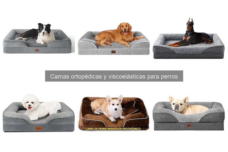 Alternativas a camas ortopédicas para perros: soluciones efectivas