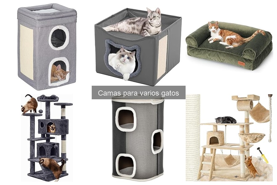 Alternativas a camas para gatos en espacios pequeños