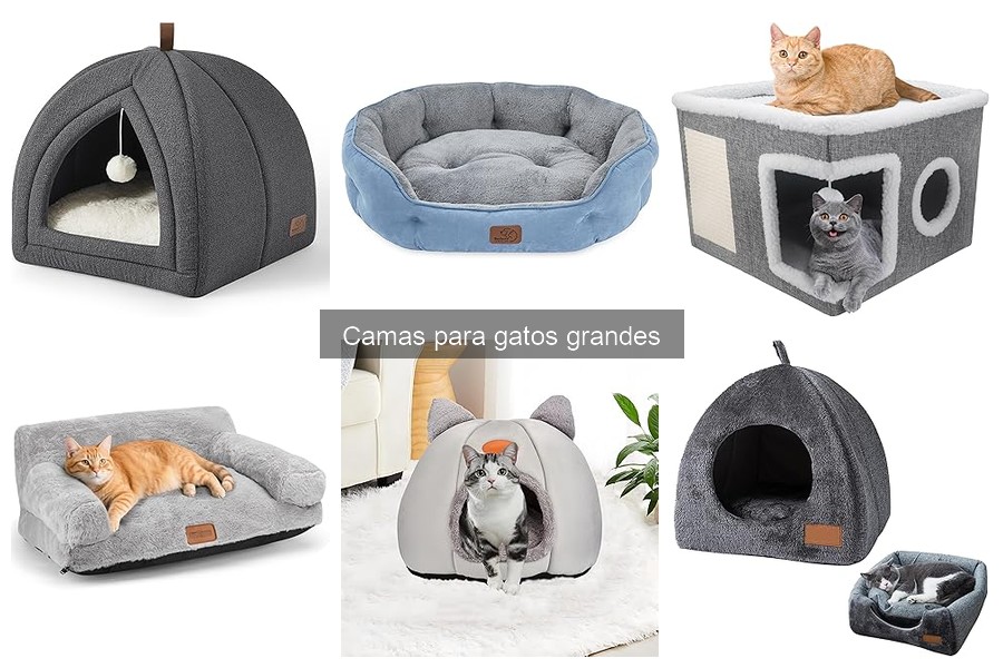 Alternativas a Camas para Gatos Grandes: Opciones Creativas