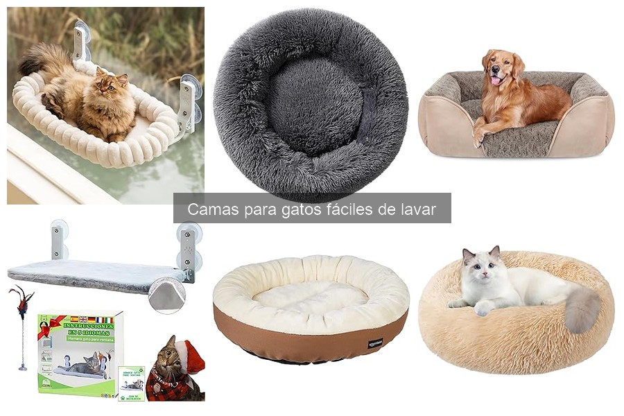 Alternativas a camas para gatos: mantas y más opciones