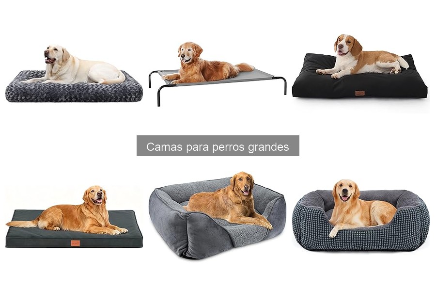 Alternativas a Camas para Perros Grandes: ¡Descubre Otras Soluciones!