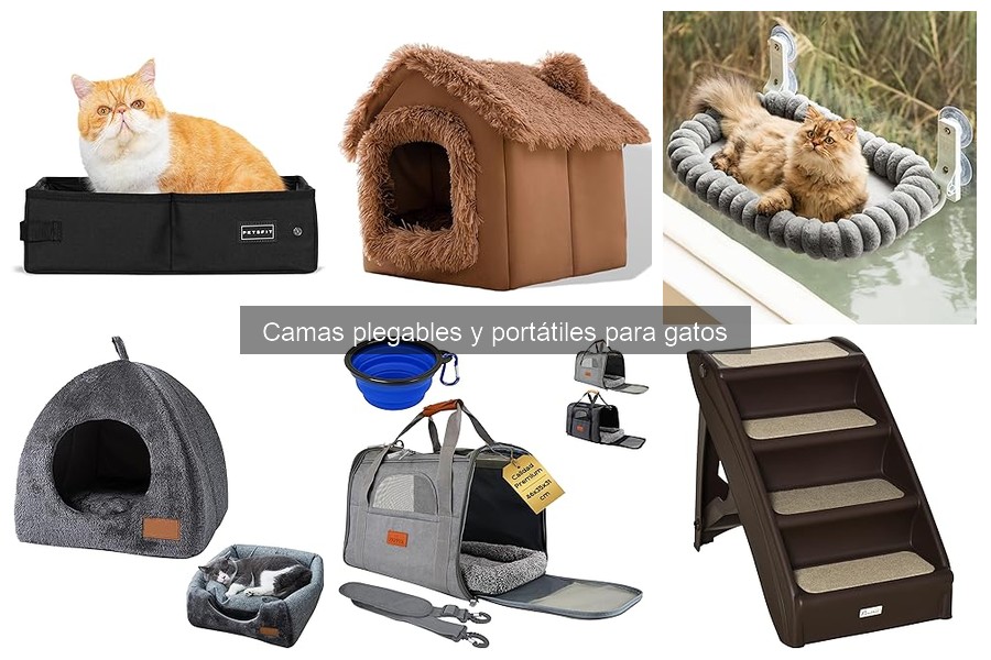 Alternativas a camas plegables para gatos: opciones cómodas