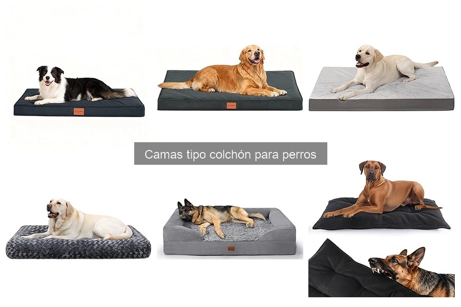 Alternativas a Camas tipo Colchón para Perros: Mejores Opciones