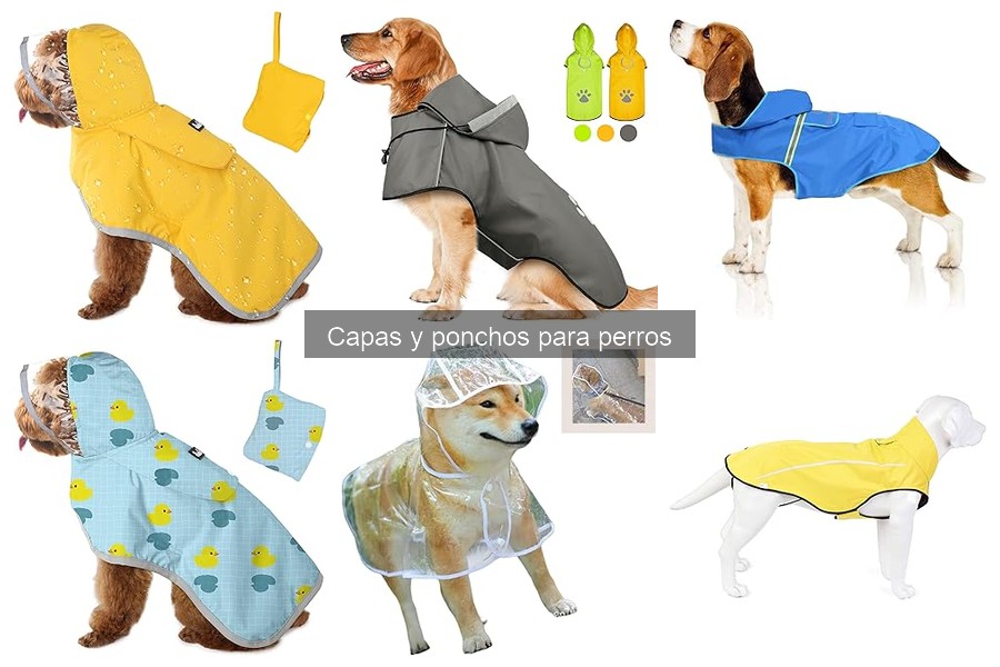 Alternativas a capas y ponchos para perros: Suéteres y más