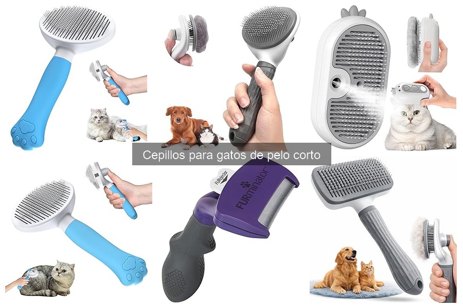 Alternativas a cepillos para gatos de pelo corto