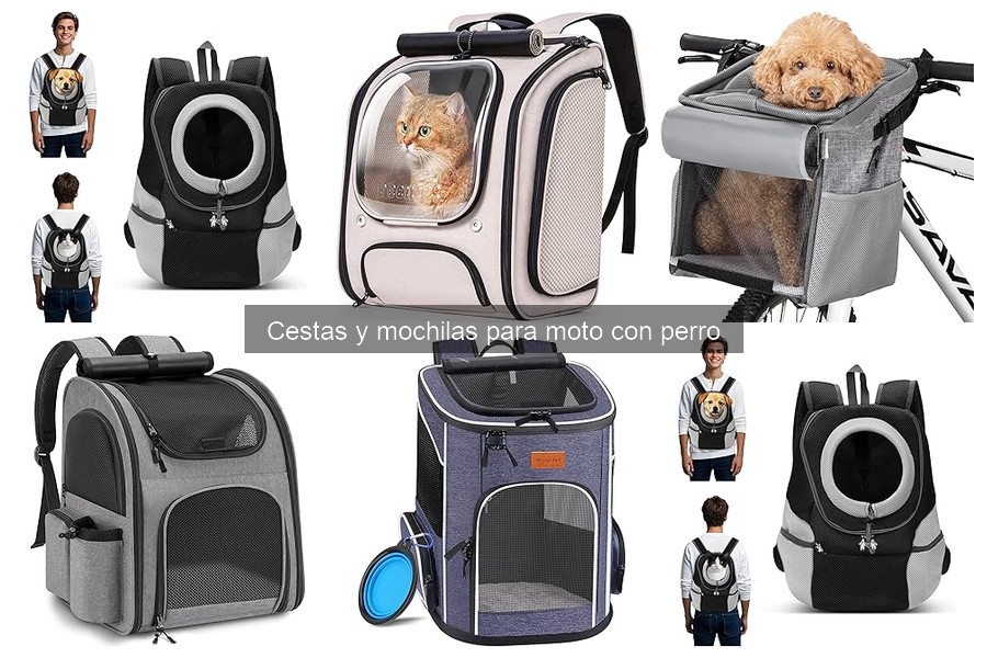 Alternativas a cestas y mochilas para moto con perro