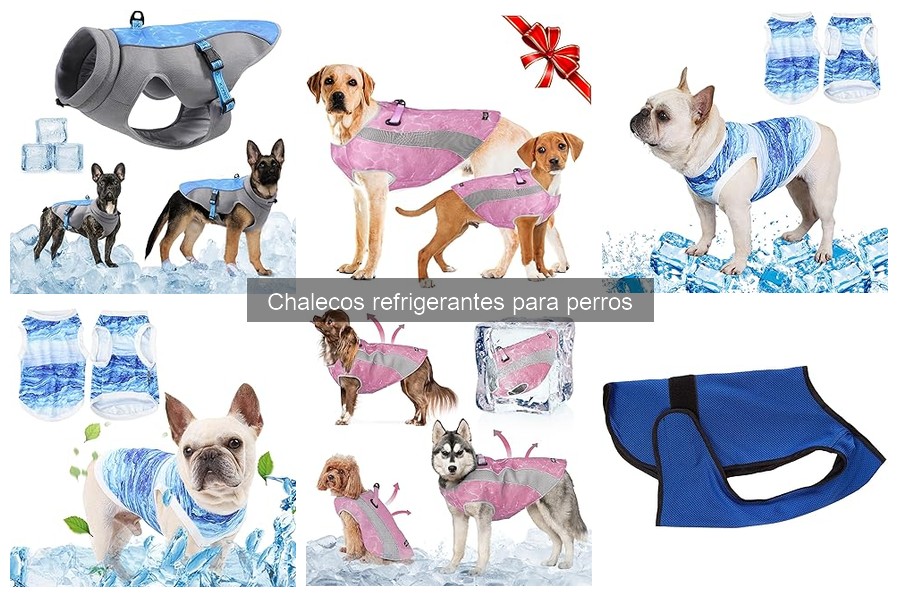 Alternativas a chalecos refrigerantes para perros: 5 opciones