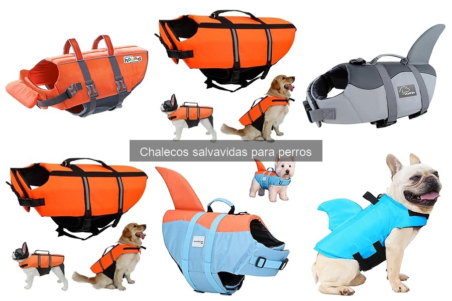 Alternativas a chalecos salvavidas para perros: soluciones efectivas