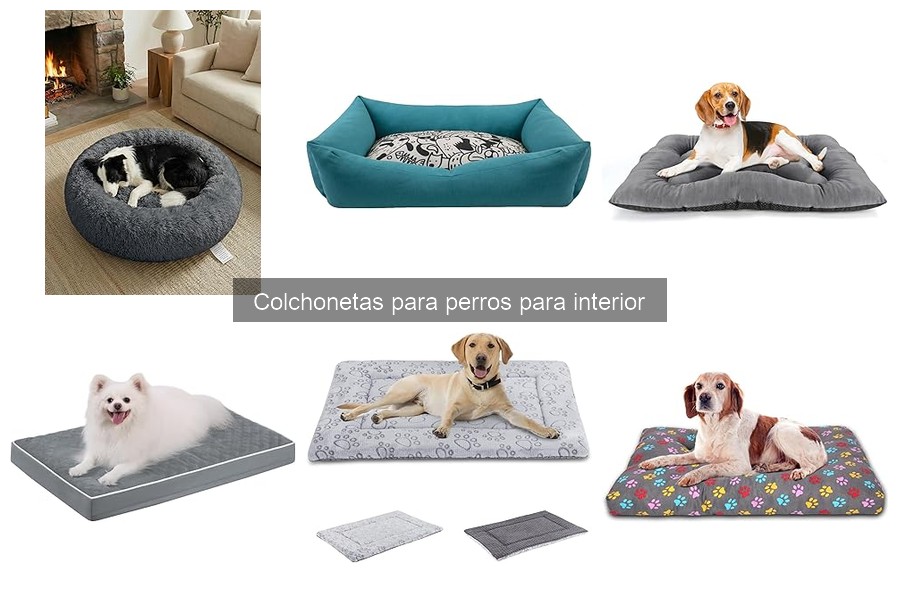 Alternativas a colchonetas para perros en interiores