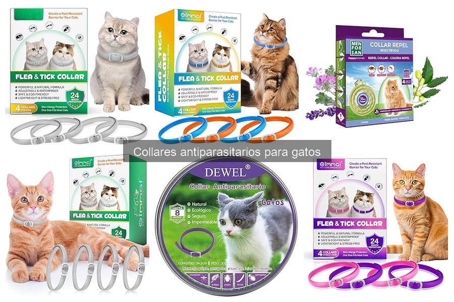 Alternativas a Collares Antiparasitarios para Gatos