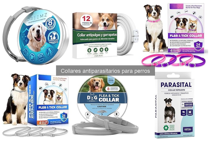 Alternativas a collares antiparasitarios para perros