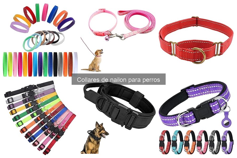 Alternativas a Collares de Nailon para Perros con Alergias